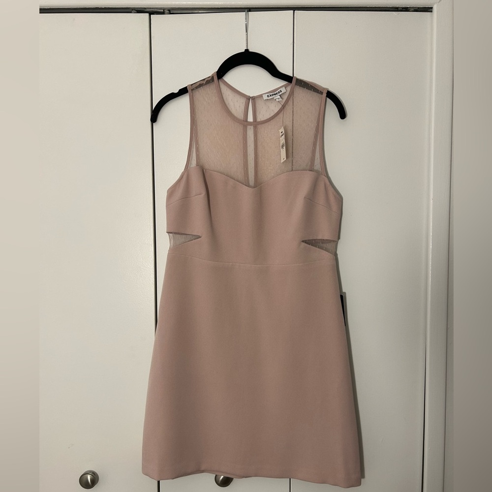 NWT Express Light Pink Dress